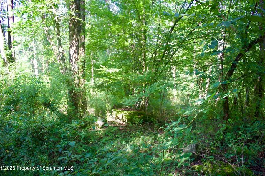 Belcher Road, Union Dale, PA 18470 - #3