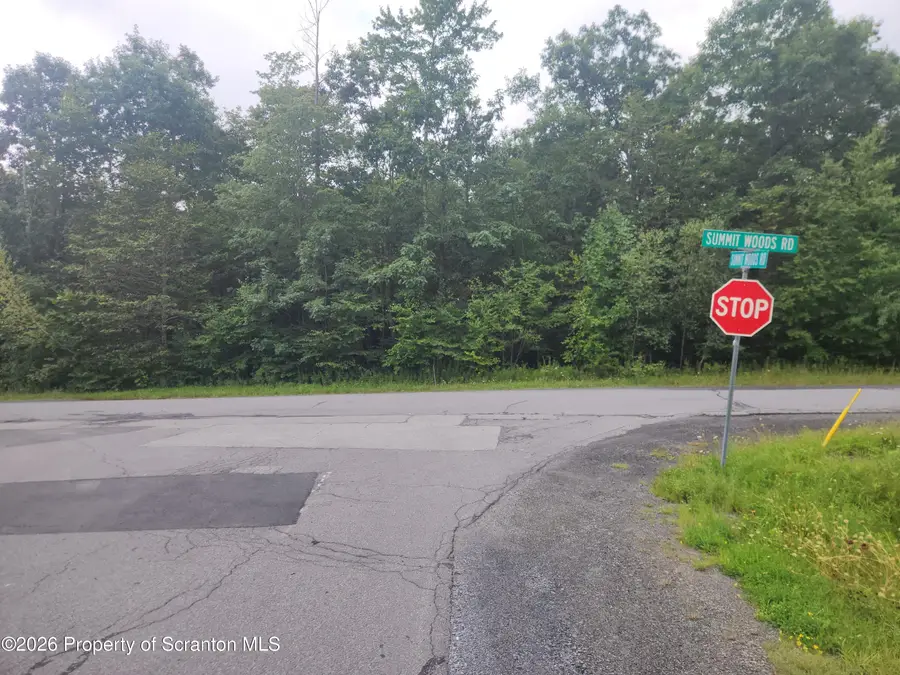 L#76 Summit Woods Road, Roaring Brook, PA 18444 - #3