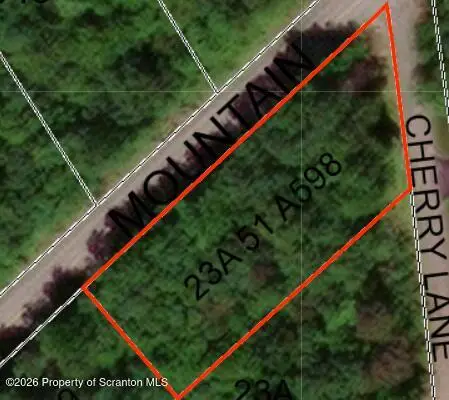 A598 Stony Mountain Road, Jim Thorpe, PA 18229 - #1