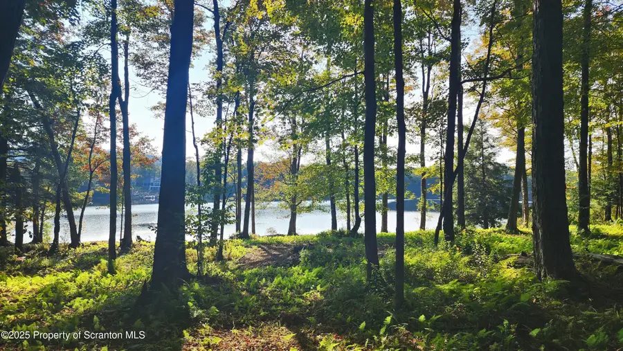 Lot 2C Dunn Lane, Thompson, PA 18465 - #3