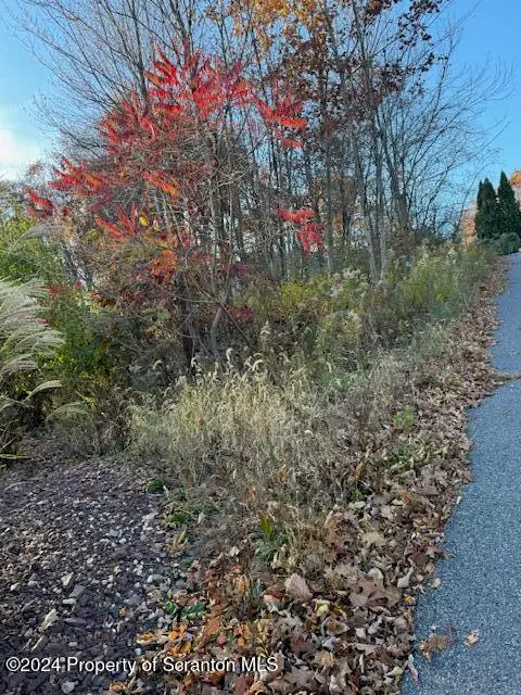 Lot 37 N Skyline Drive, South Abington Township, PA 18411 - Image #2