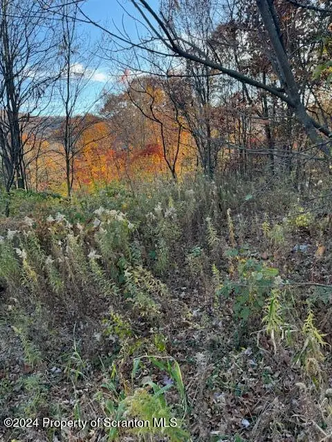 Lot 37 N Skyline Drive, South Abington Township, PA 18411 - Image #3