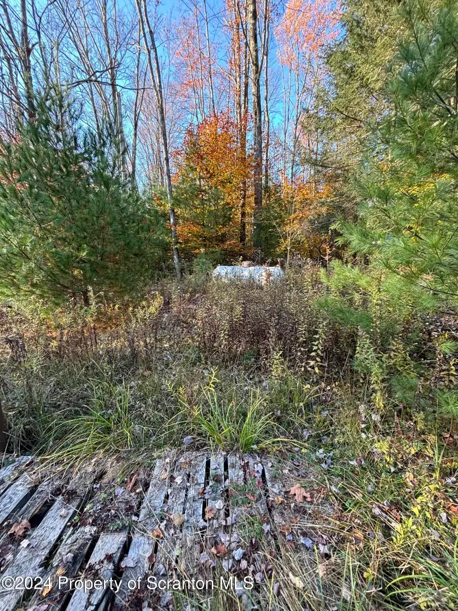 1050 Pops Hobby Lake Road, Brackney, PA 18812 - Image #2