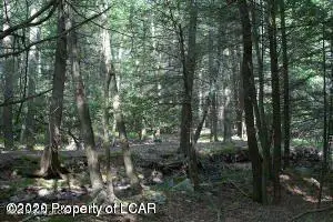 RV-80 Turnberry Lane, Hazleton, PA 18202 - #3