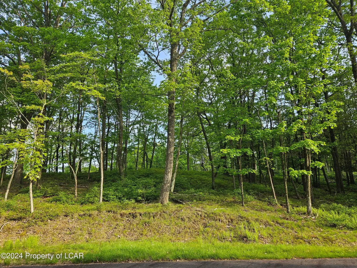 Timothy Drive, East Union Township, PA 17985 - Image #1