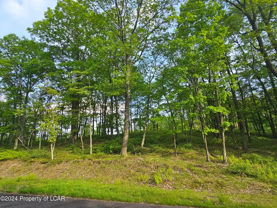 Timothy Drive, East Union Township, PA 17985 - Image #2