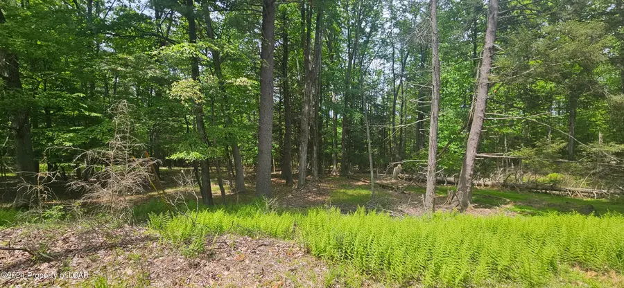 EA Lot 247 Algonquin Drive, Hazleton, PA 18202 - Image #3