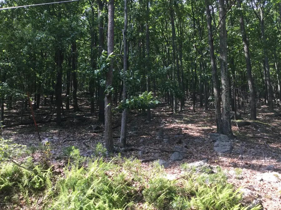 JAE 109 Kickapoo Drive, Hazle Township, PA 18202 - Image #2