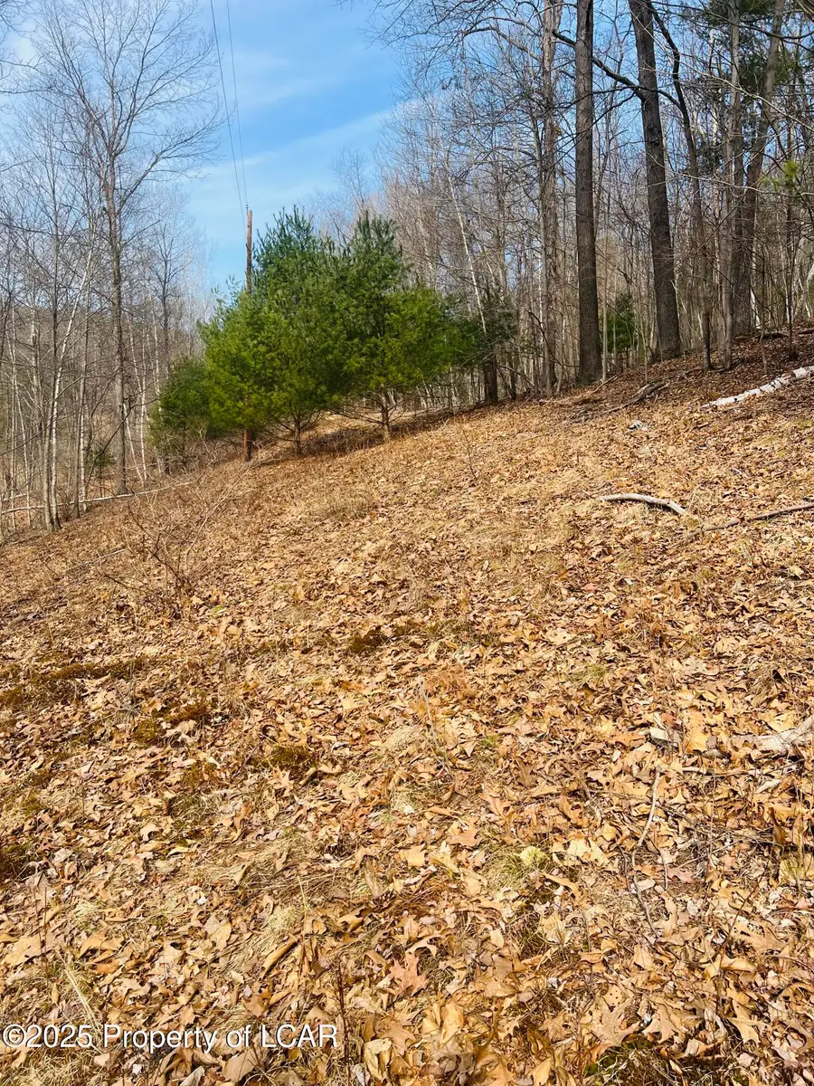 Lockville Rd/church Rd., Harding, PA 18643 - Image #2