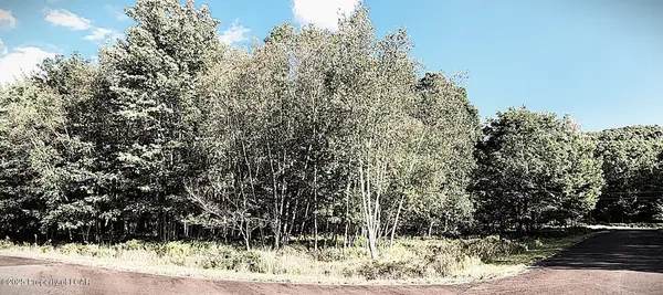 LV Lot 190 Fawn Lily Crnr Arrowwood Drive, Hazle Twp, PA 18202