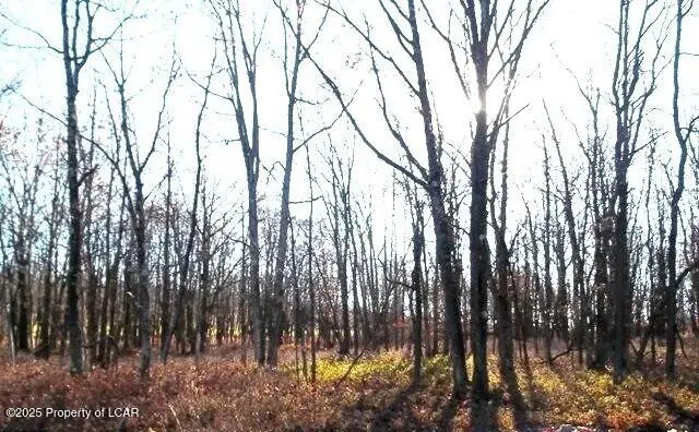 TW Lot 552 Blue Spruce Drive, Hazle Township, PA 18202 - Image #1