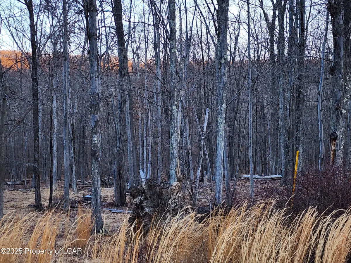 JA 254R E Tuscarora Drive, Hazle Township, PA 18202 - Image #1