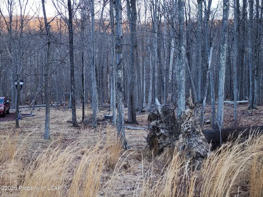 JA 254R E Tuscarora Drive, Hazle Township, PA 18202 - Image #3