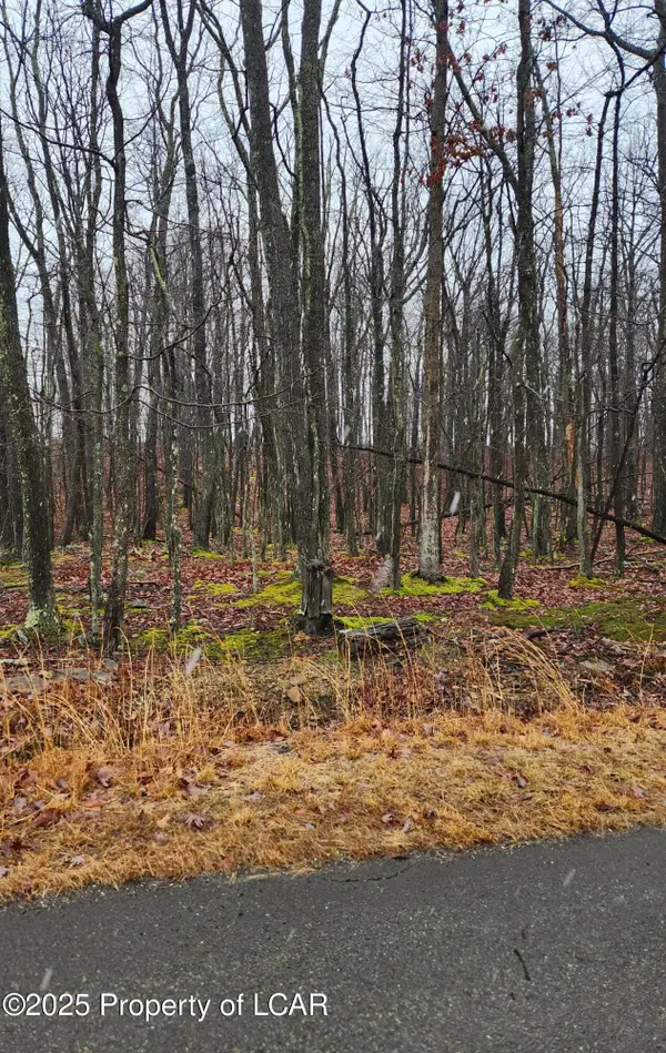 Address Withheld By Seller, Hazle Twp, PA 18202