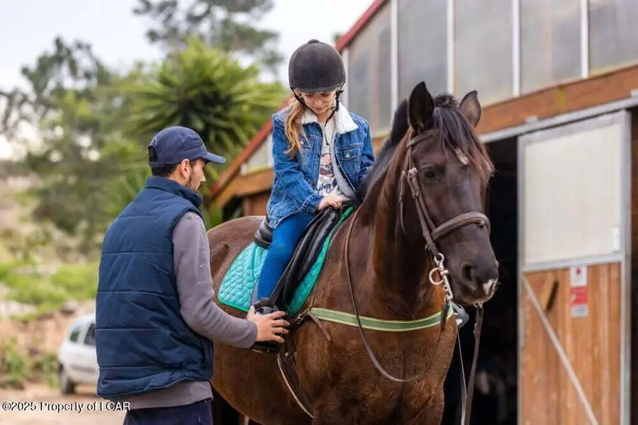 438 Winterberry Way, Hazle Township, PA 18202 - Image #2