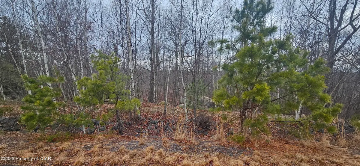 TT Lot 497 White Oak Lane, Hazle Township, PA 18202 - Image #1