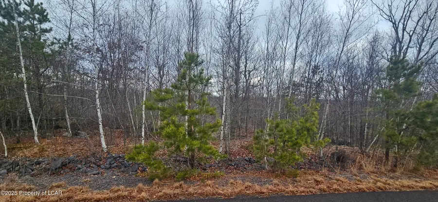 TT Lot 497 White Oak Lane, Hazle Township, PA 18202 - Image #2