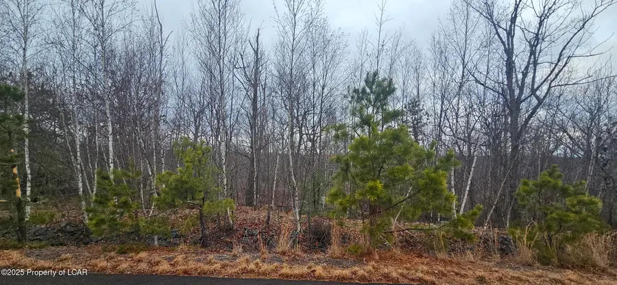 TT Lot 497 White Oak Lane, Hazle Township, PA 18202 - Image #3