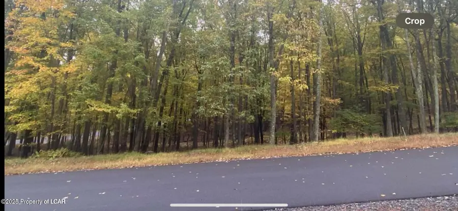 210 Hf 4-210 Hidden Forest, East Union Township, PA 18248 - Image #2