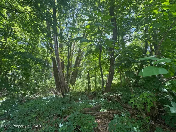 138 S Keyser Avenue, Scranton, PA 18505