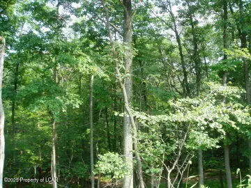 9 Turnberry Lane, Hazle Township, PA 18202 - Image #1