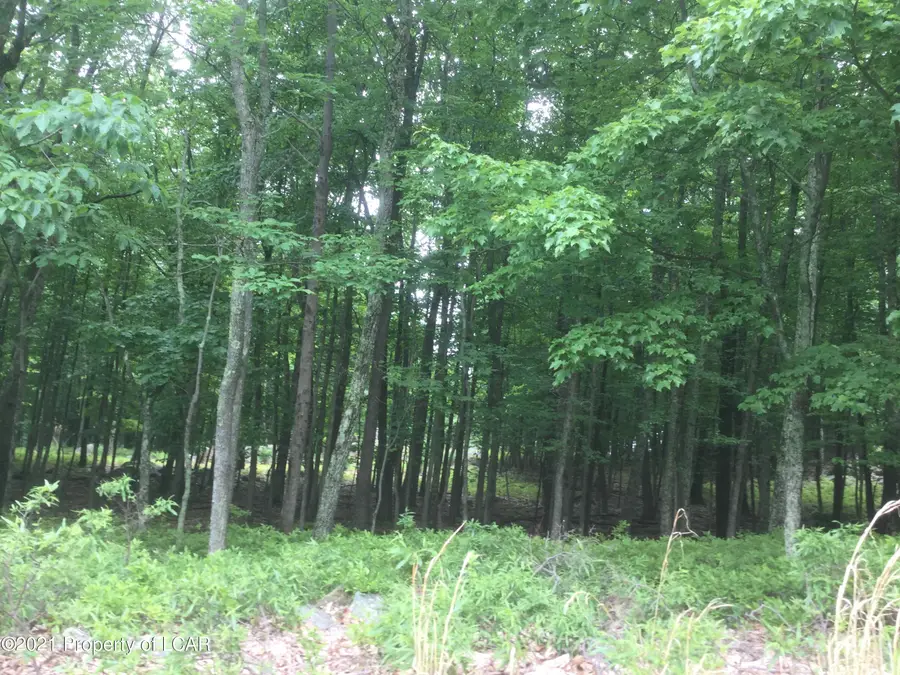 SH Lot 029 Southern Hills Court, Hazle Township, PA 18202 - Image #2