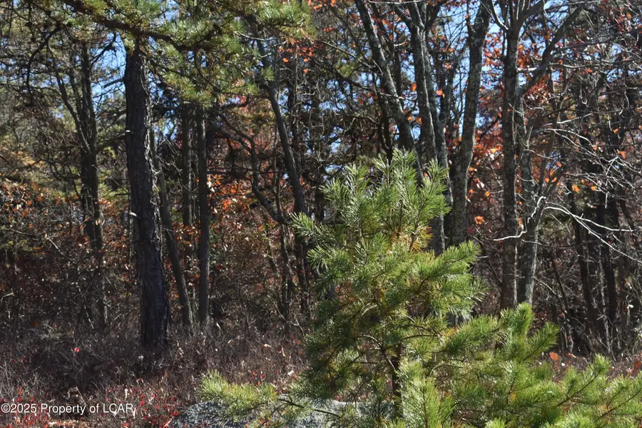 Buck Mountain Boulevard, Hazleton, PA 18202 - Image #3