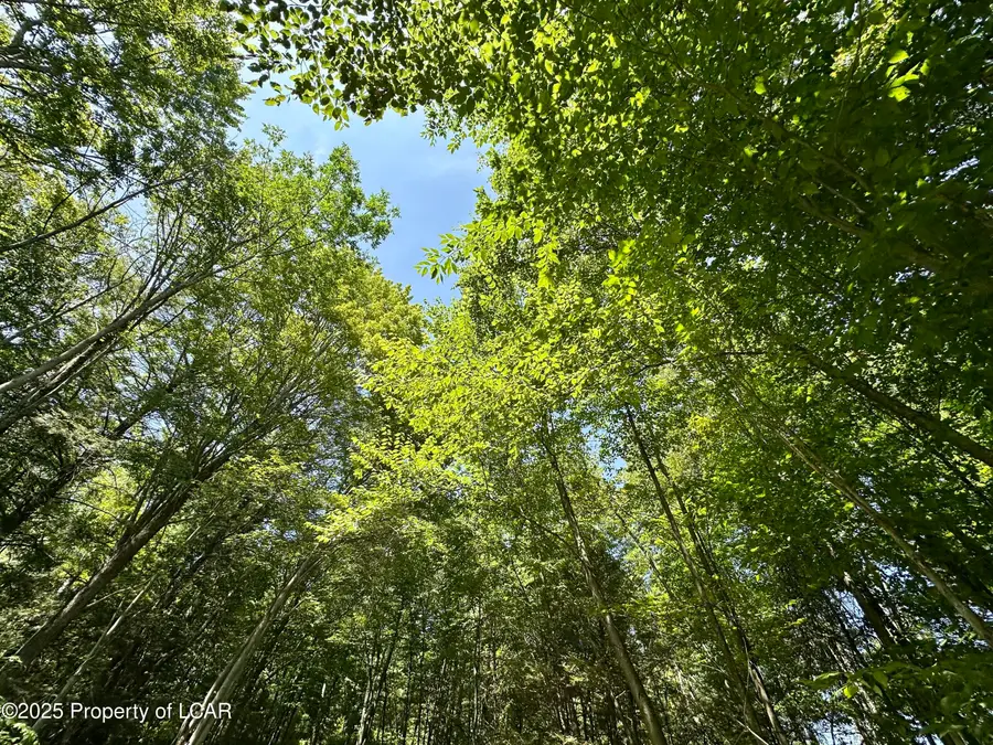 Baylors Pond Road, Fleetville, PA 18420 - Image #2