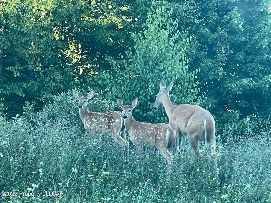 100 Manorview Drive, Dallas, PA 18612 - Image #2