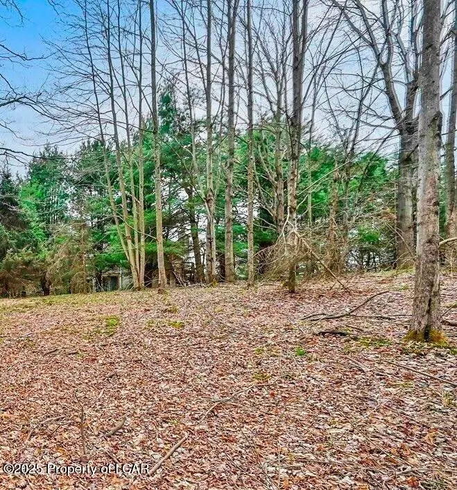 838 Wildwood Terrace, The Hideout, PA 18427 - Image #2