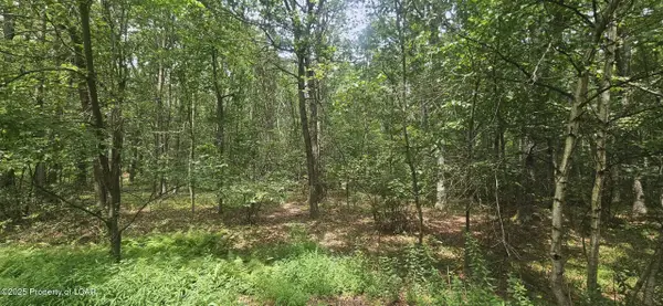 Lot 016 Hemlock Drive, Sheppton, PA 18248