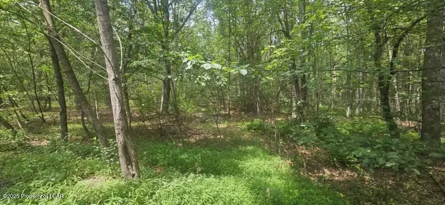 Lot 016 Hemlock Drive, Sheppton, PA 18248 - Image #3