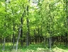 NR Lot 170 Manayunk Avenue, Hazle Township, PA 18202 - Image #1