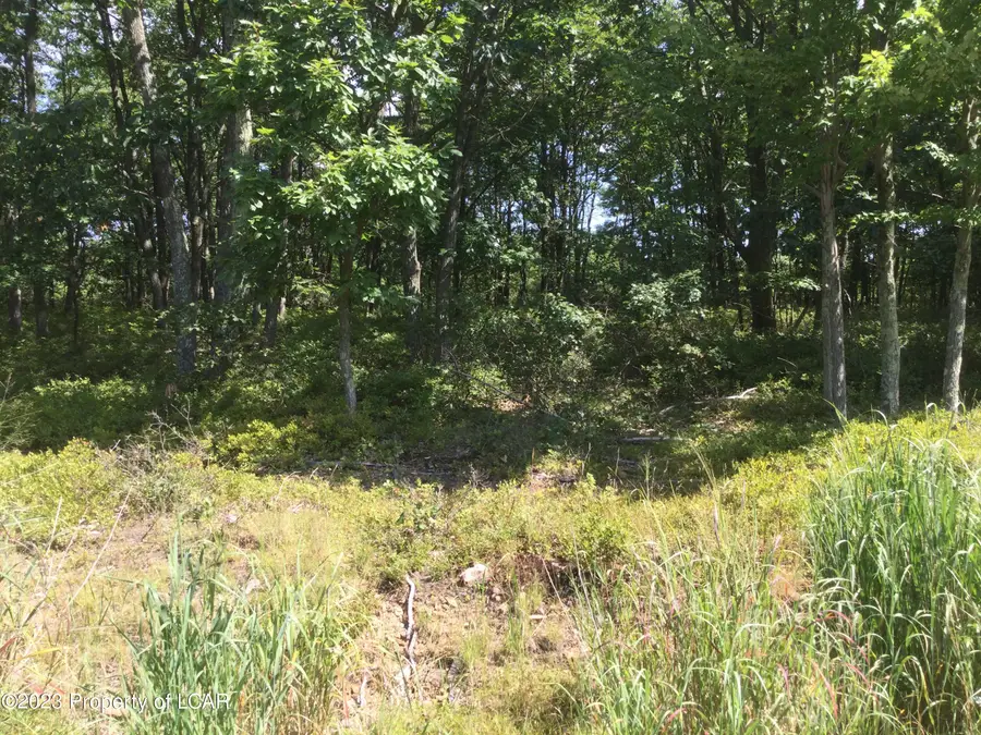 MV Lot 521 Appalachian Way, Hazle Township, PA 18202 - Image #2