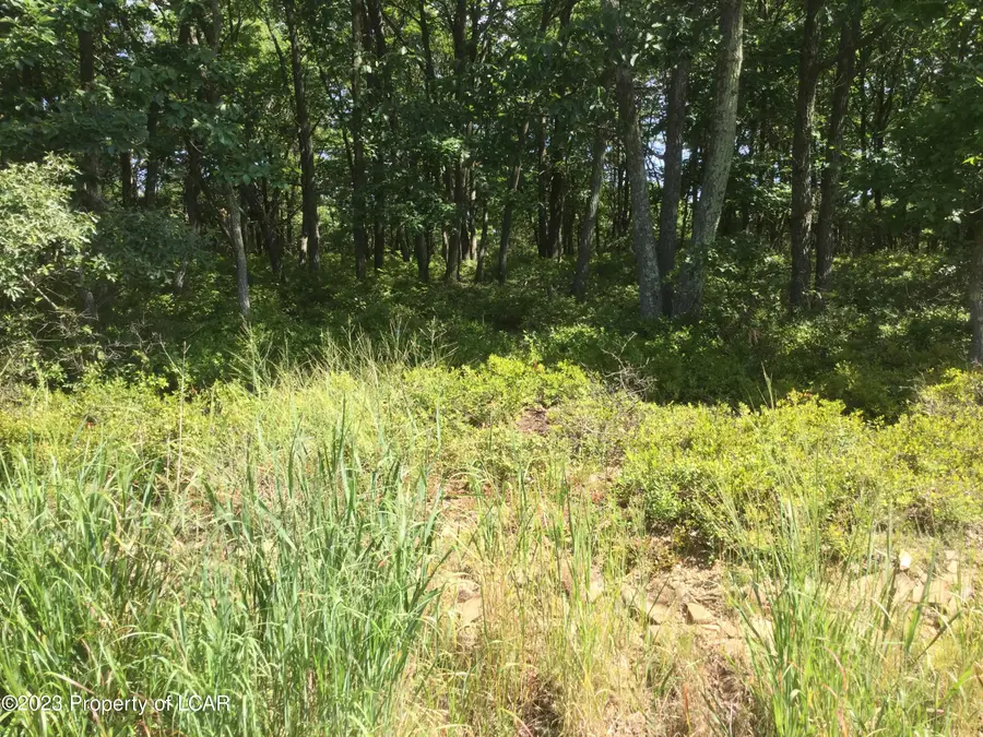 MV Lot 521 Appalachian Way, Hazle Township, PA 18202 - Image #3