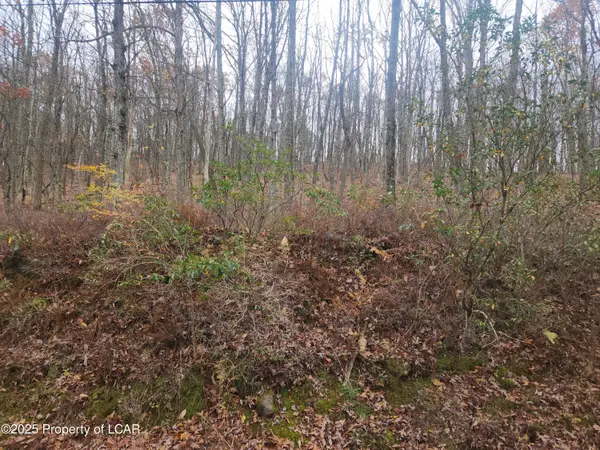 1212 Woodhaven Drive, White Haven, PA 18661