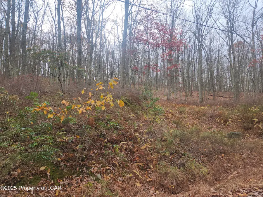 1212 Woodhaven Drive, White Haven, PA 18661 - Image #3