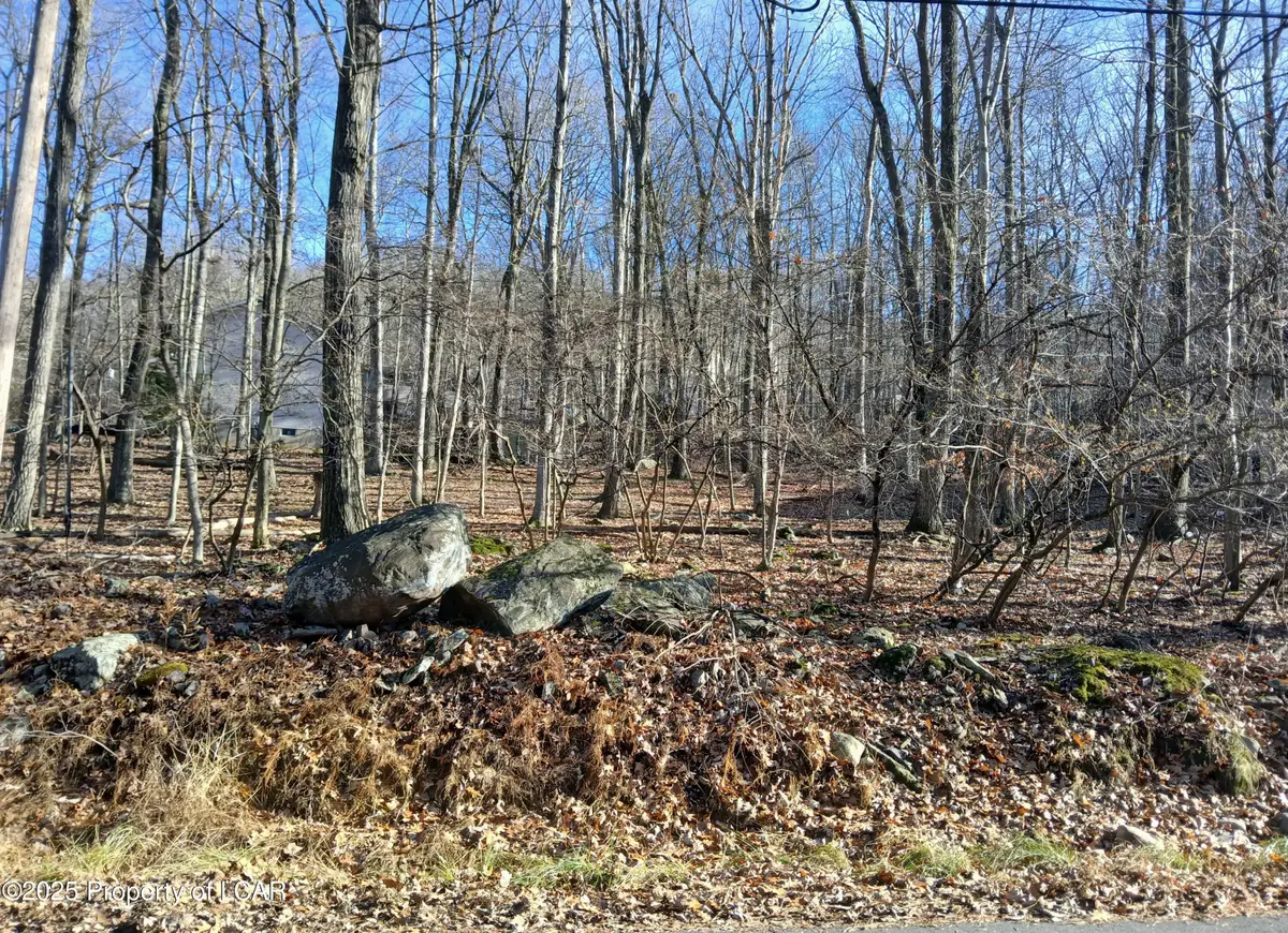 251 Bear Run Drive, Drums, PA 18222 - #1