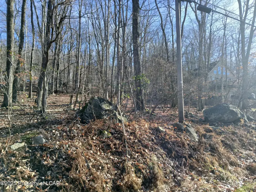 251 Bear Run Drive, Drums, PA 18222 - #3
