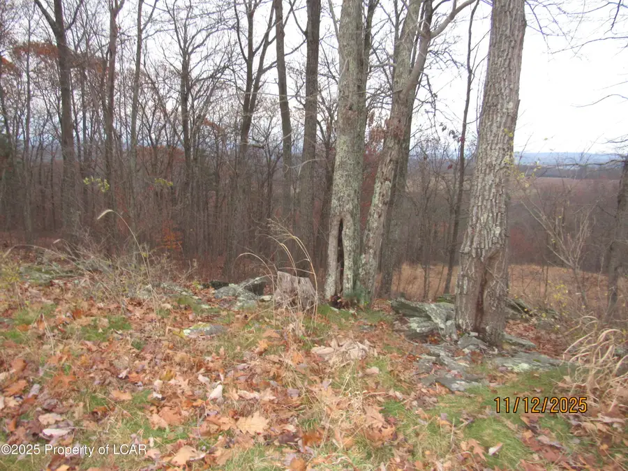 115 Manorview Drive, Dallas, PA 18612 - Image #2