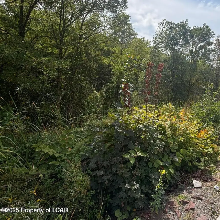 Pittston By Pass, Pittston, PA 18640 - Image #3