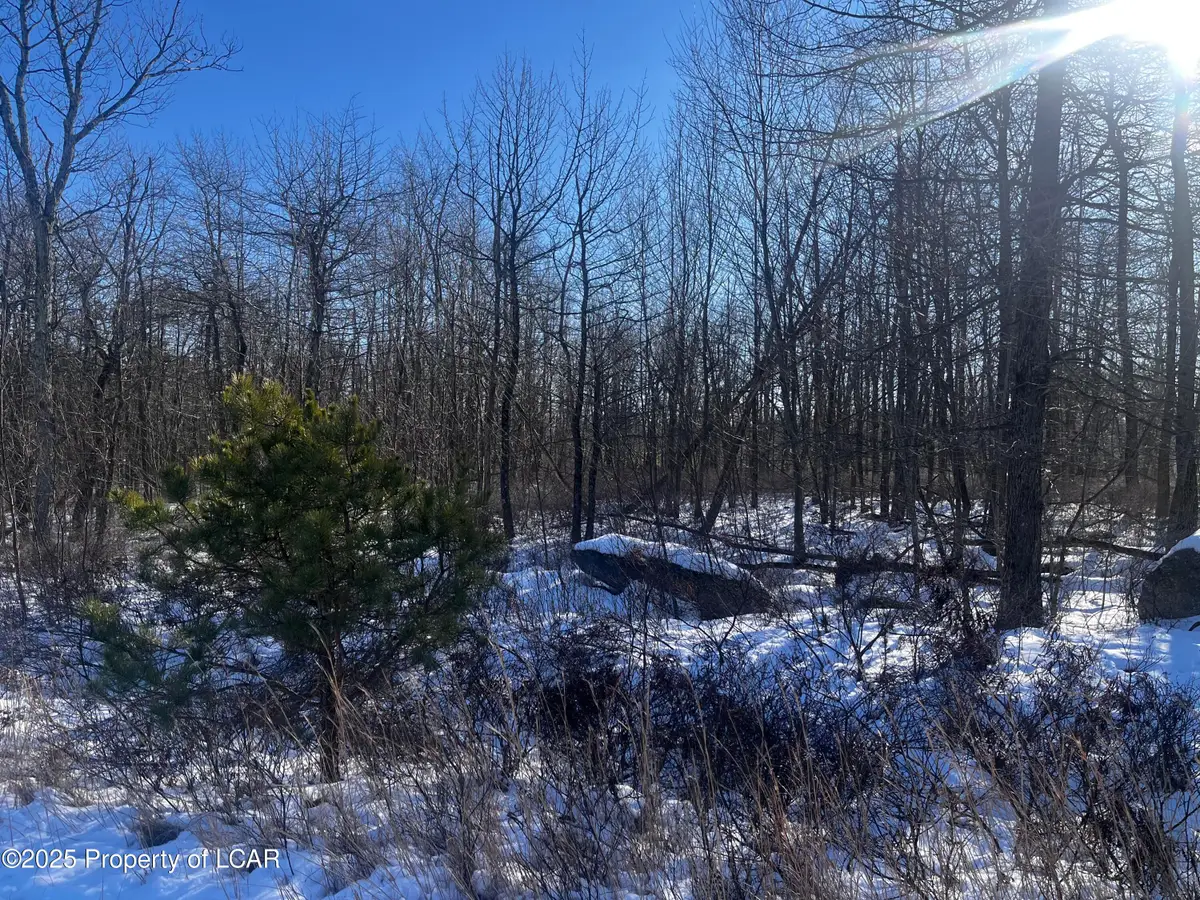 MVII-307 Brush Mountain Drive, Hazle Township, PA 18202 - Image #1
