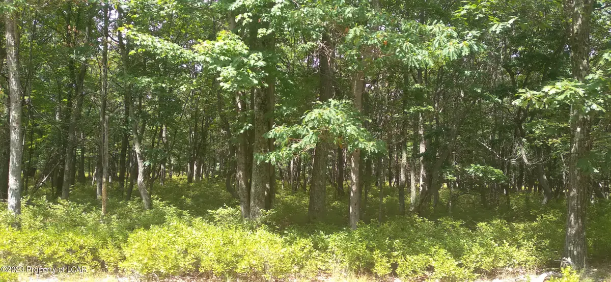 MVII 262 Big Mountain Lane, Hazle Township, PA 18202 - Image #1