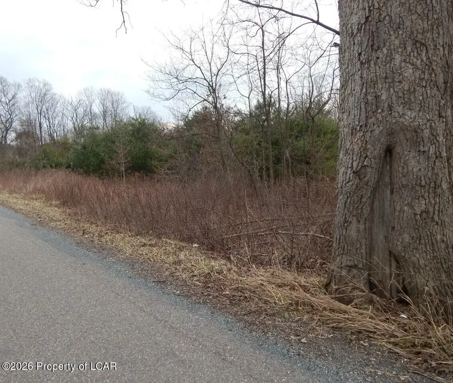 Pond Hill Mountain Road, Conyngham, PA 18219 - #2