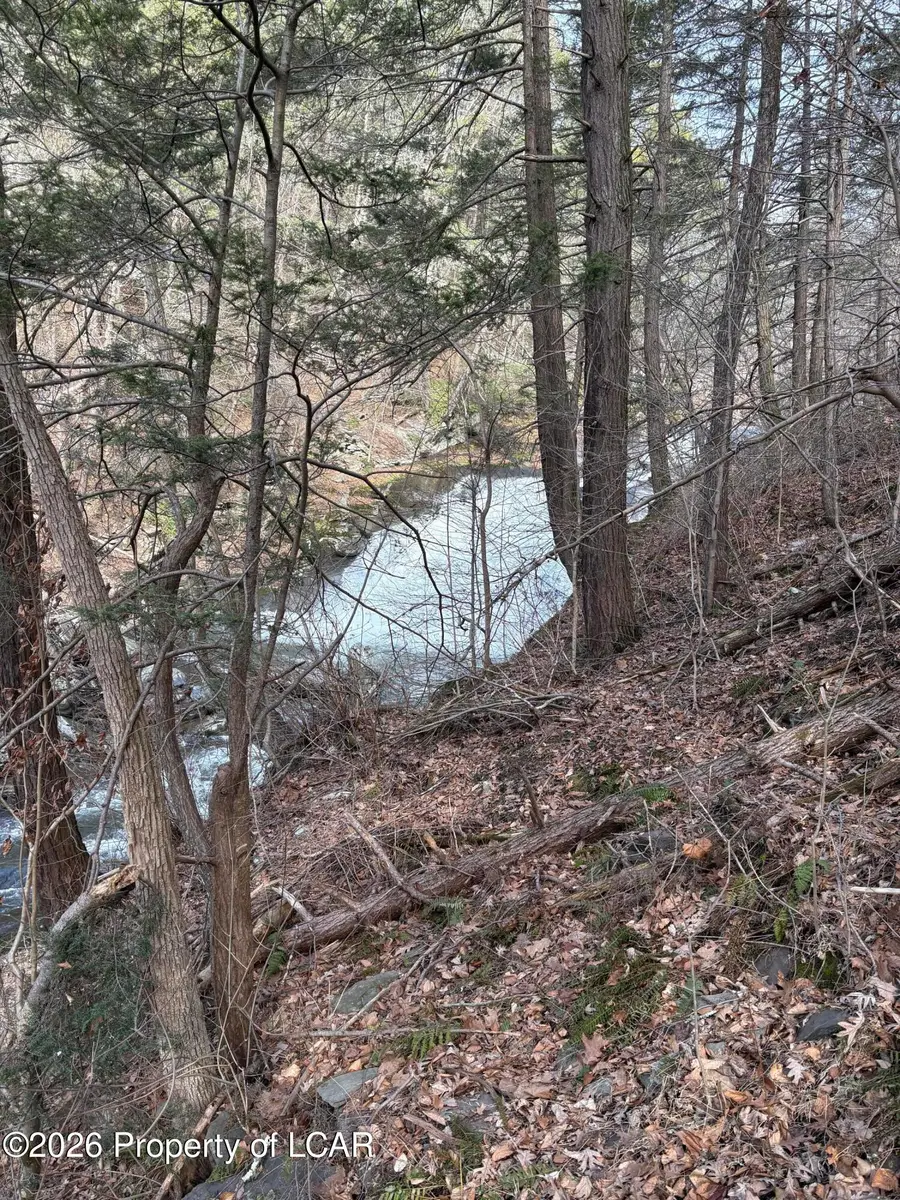 Main Road, Hunlock Creek, PA 18621 - #2