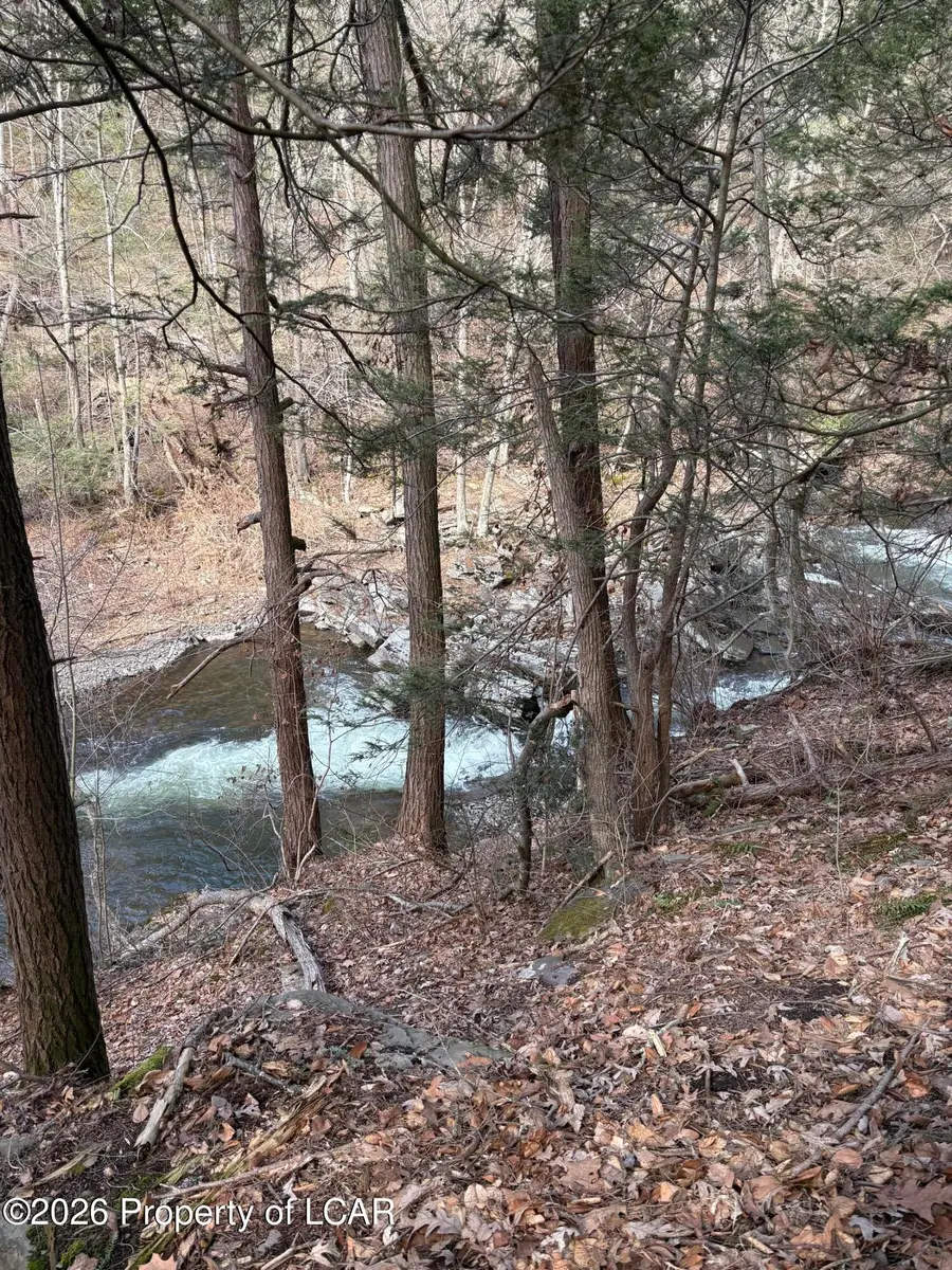 Main Road, Hunlock Creek, PA 18621 - #3