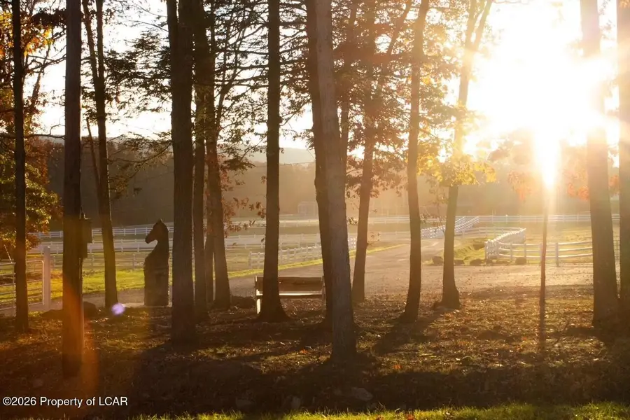 302 HF4 Canoe Birch, Hazleton, PA 18202 - #2