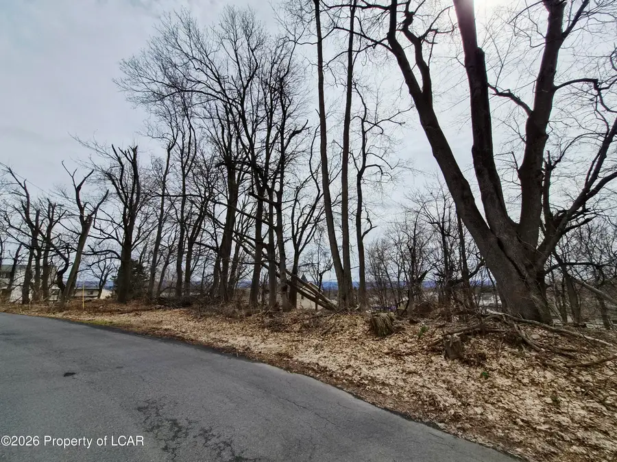 Terrace Drive, West Wyoming, PA 18644 - #2