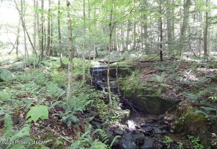 1 & 2 Sparrow Road, Harveys Lake, PA 18618 - #1