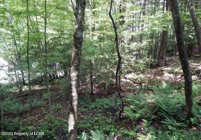 1 & 2 Sparrow Road, Harveys Lake, PA 18618 - #2